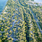 listing image thumbnail with ID 36449